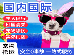 海口机场快运国际宠物托运 【国